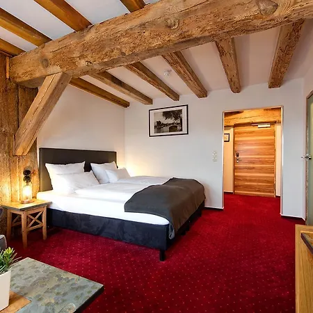 Отель Elbe Alte Oelmuehle 4*